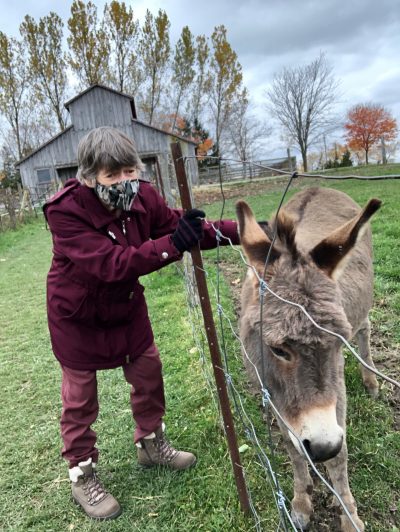 passport story, community living guelph wellington, clgw, mapleton farms, animals